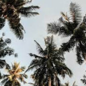 Meet your Posher, Cleo